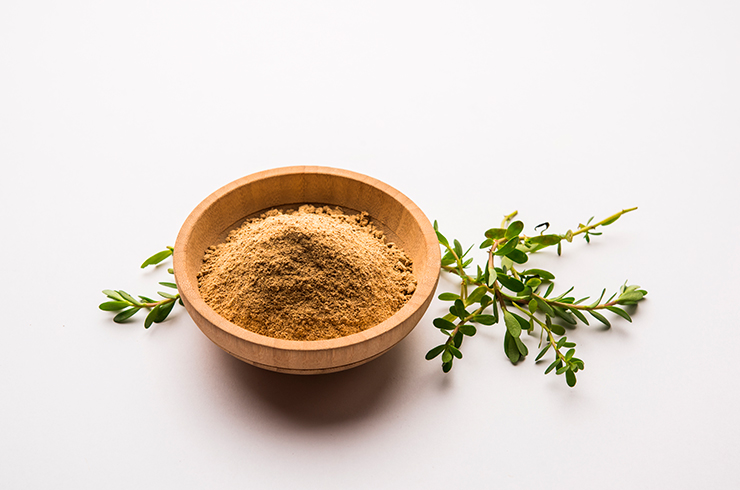 Бакопа монье экстракт