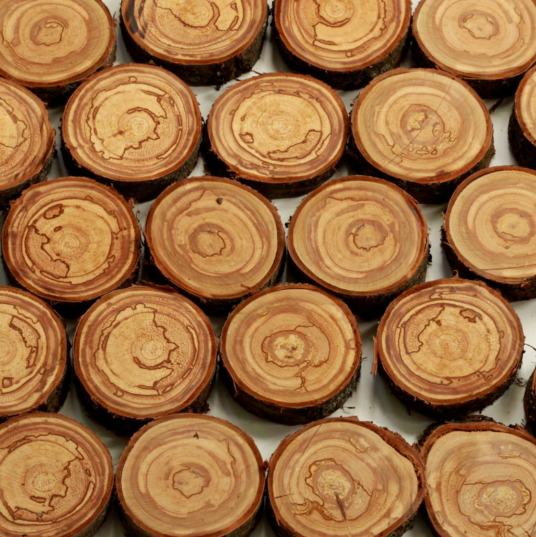 Спилы и подставки