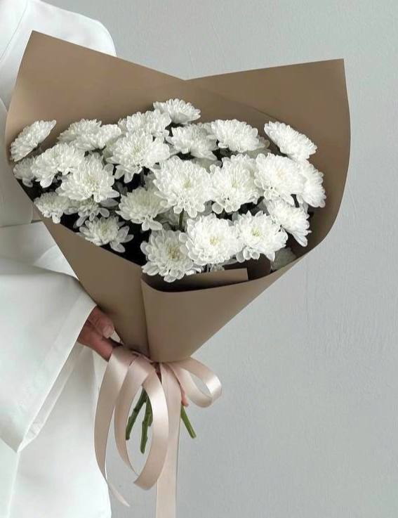 Хризантемы кустовые Алтай 5 шт