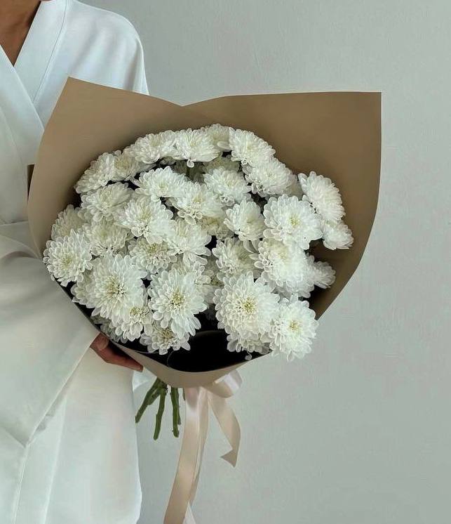 Хризантемы кустовые Алтай 7 шт