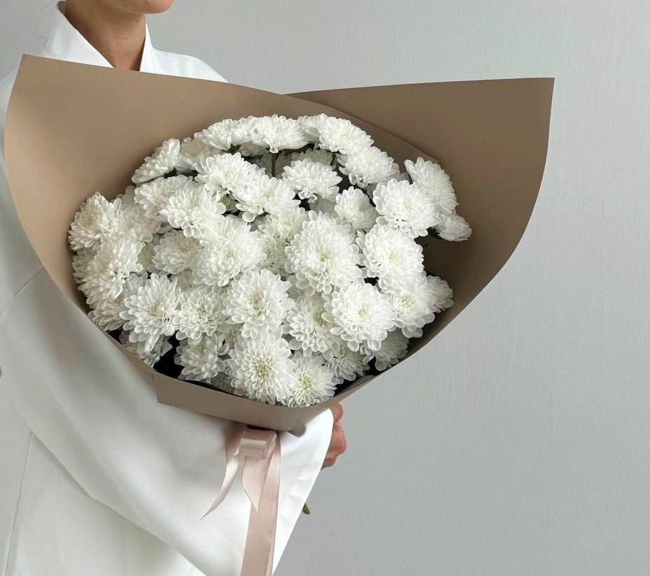 Хризантемы кустовые Алтай 9 шт