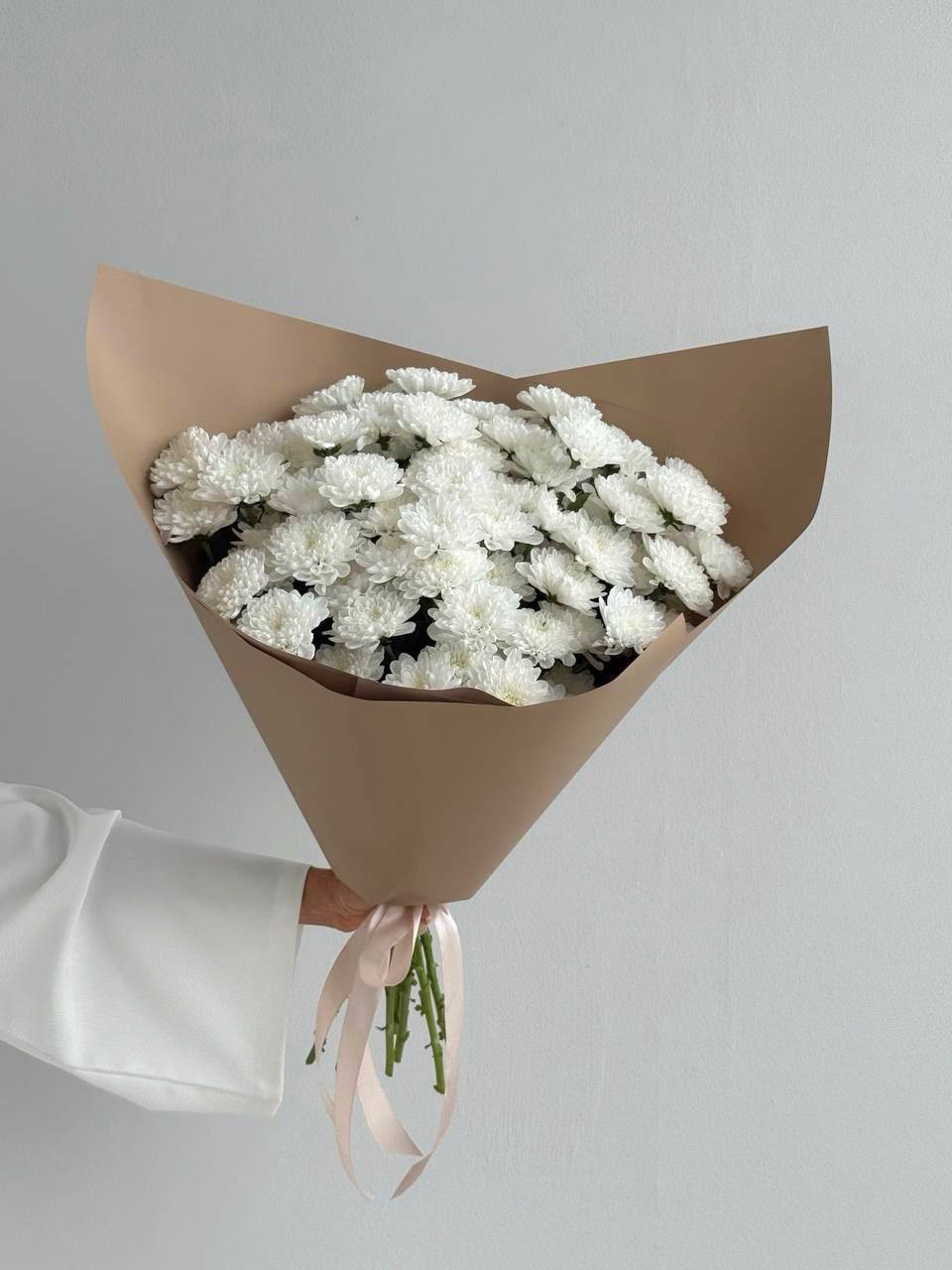 Хризантемы кустовые Алтай 11 шт