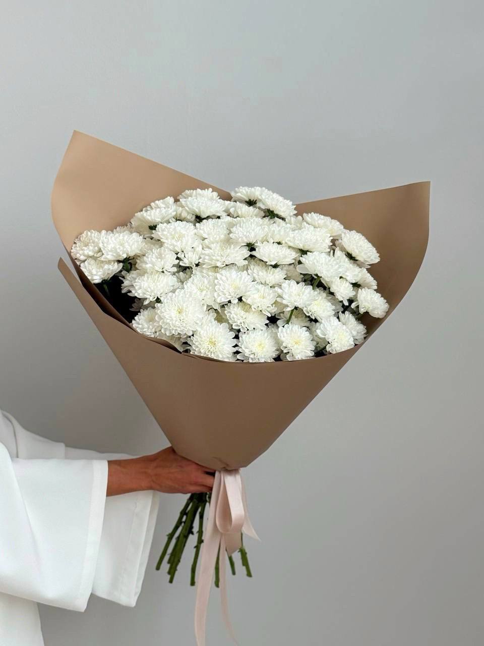 Хризантемы кустовые Алтай 15 шт