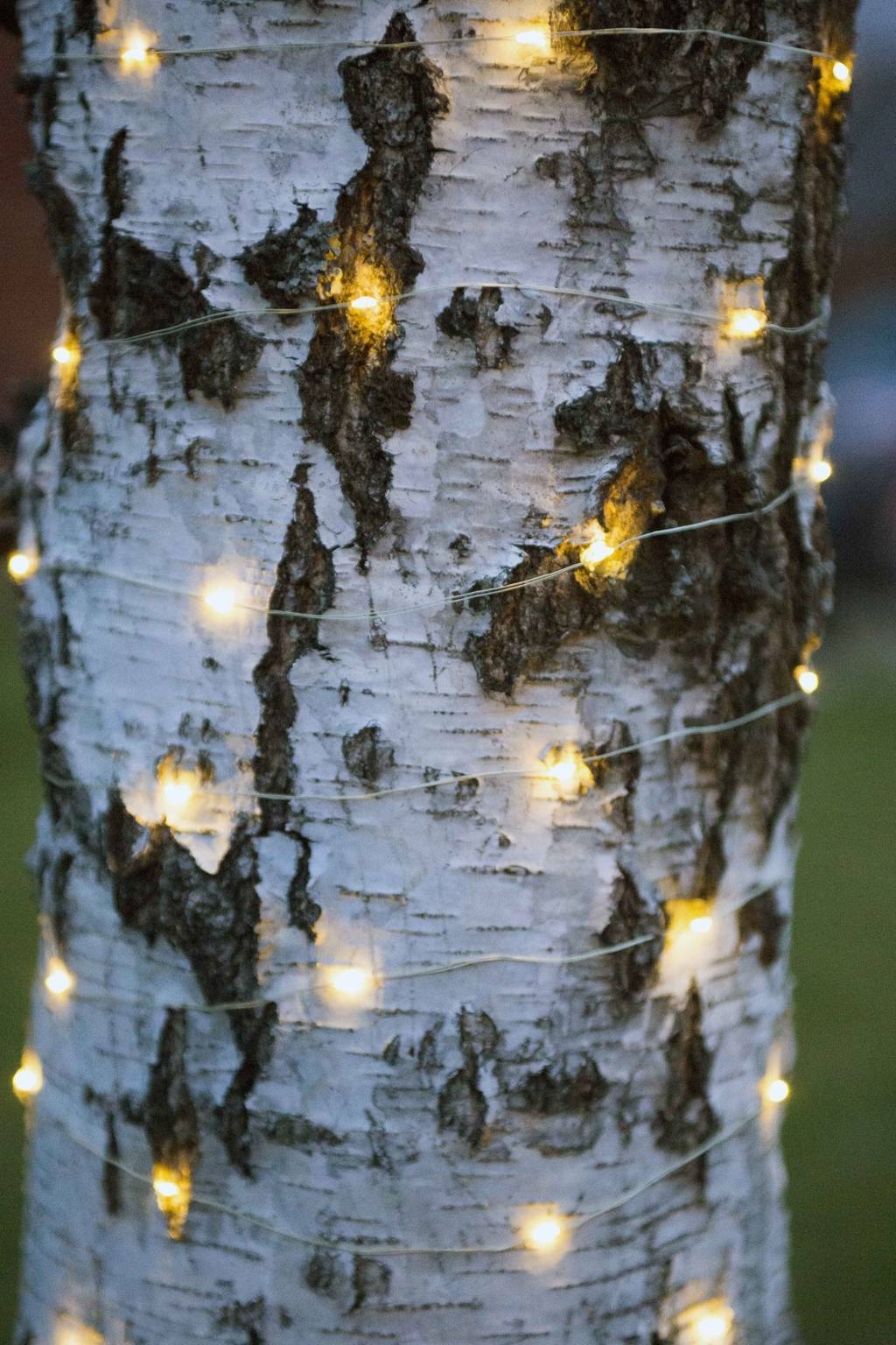 Гирлянда нить для оформления деревьев, цветов