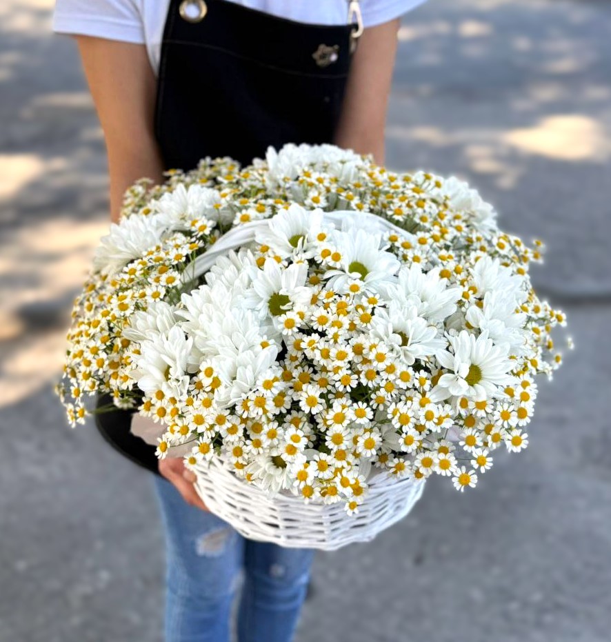 Корзина с разными ромашками