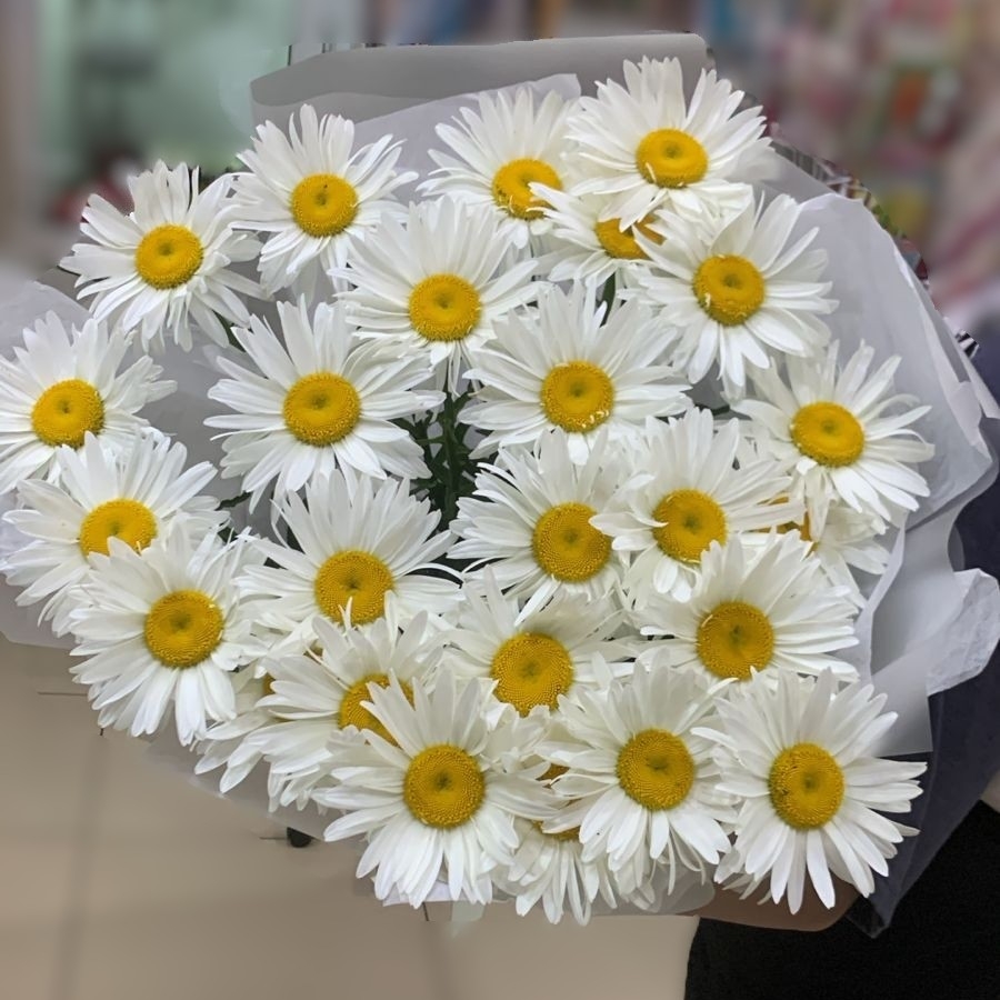 Букет из 25 ромашек