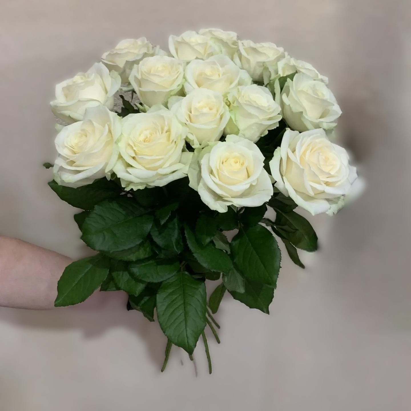 Букет из 15 белых роз на ленту
