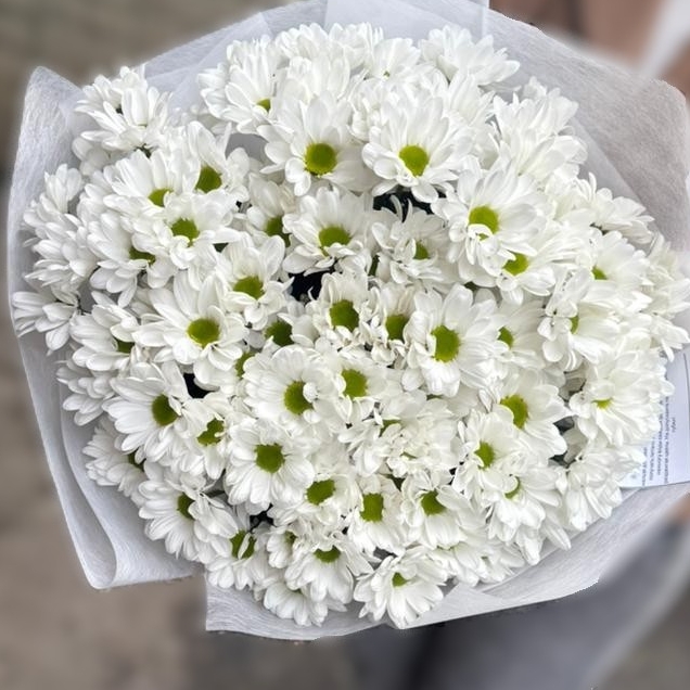 Букет из 11 кустовых хризантем