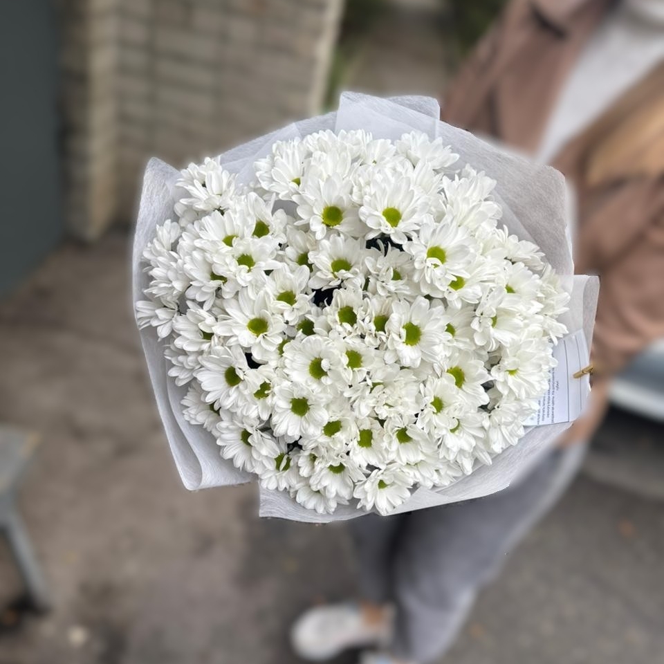 Букет из 11 кустовых хризантем