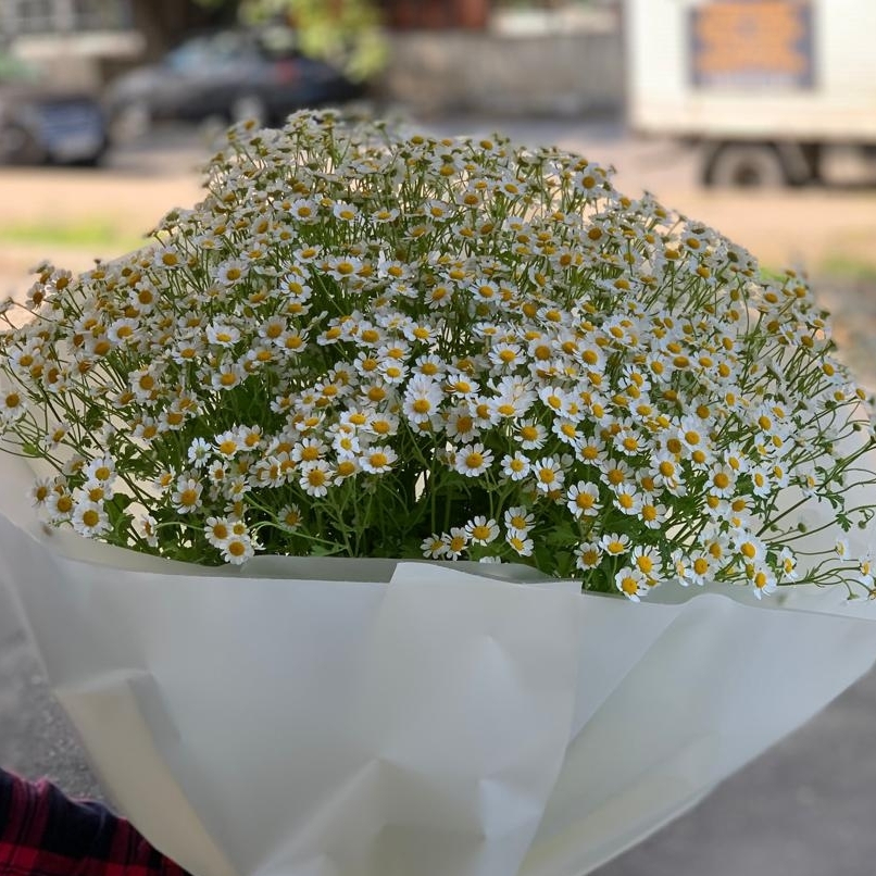 Большой букет с ромашками