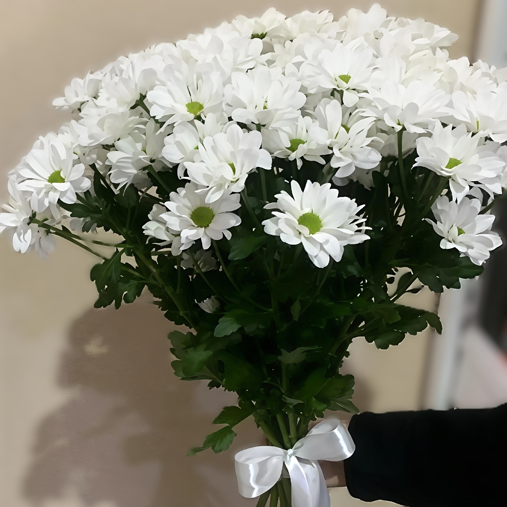 Букет из 9 ромашковидных хризантем