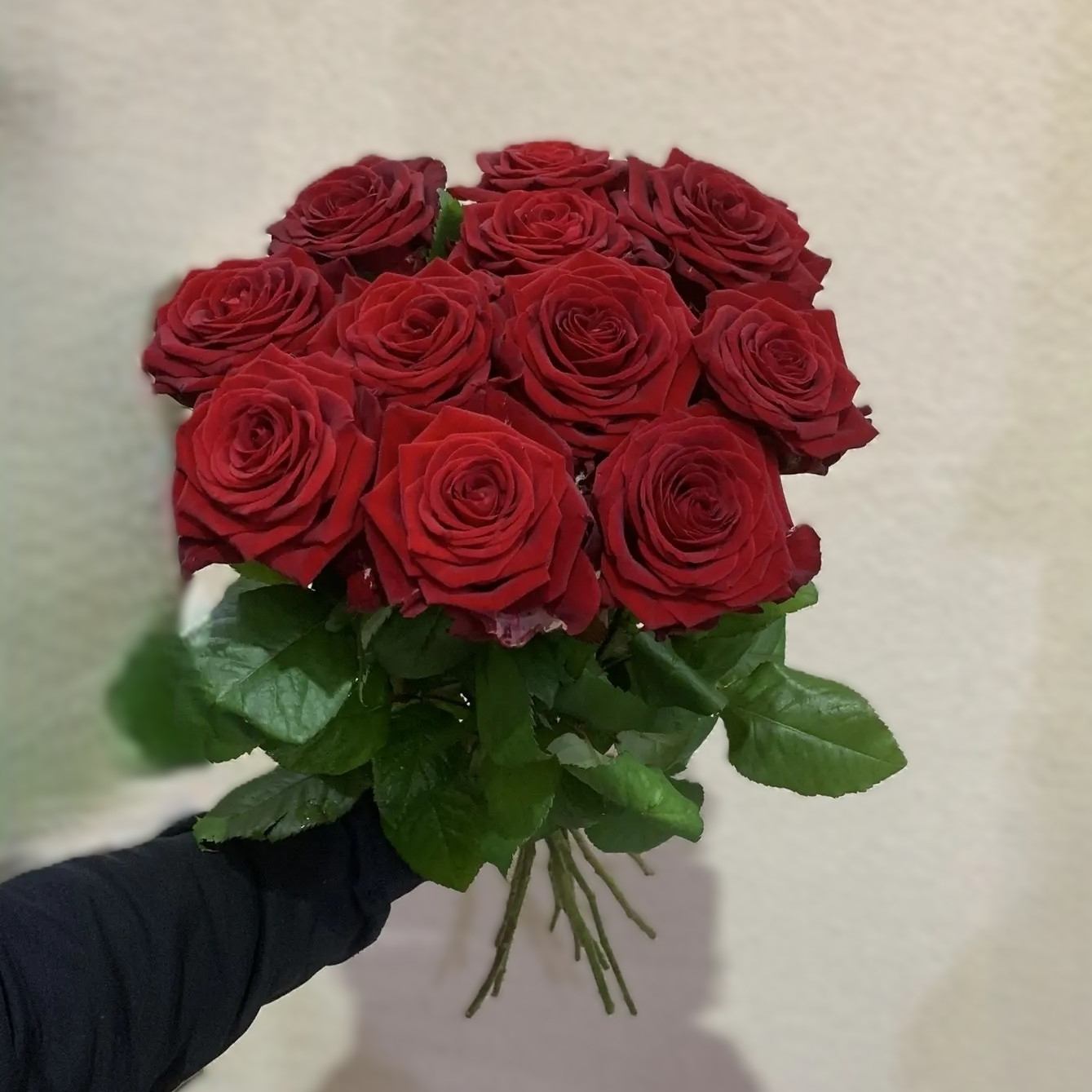 11 красных роз