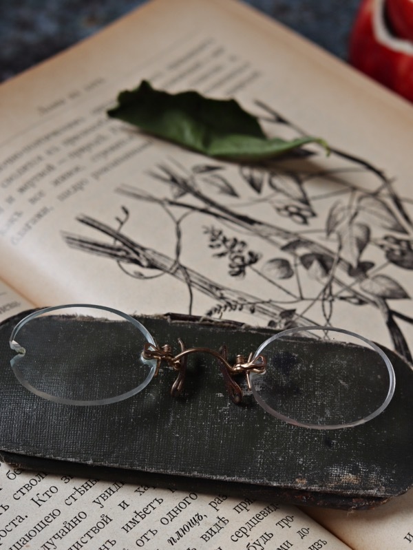 Пенсне с футляром, 19 в.