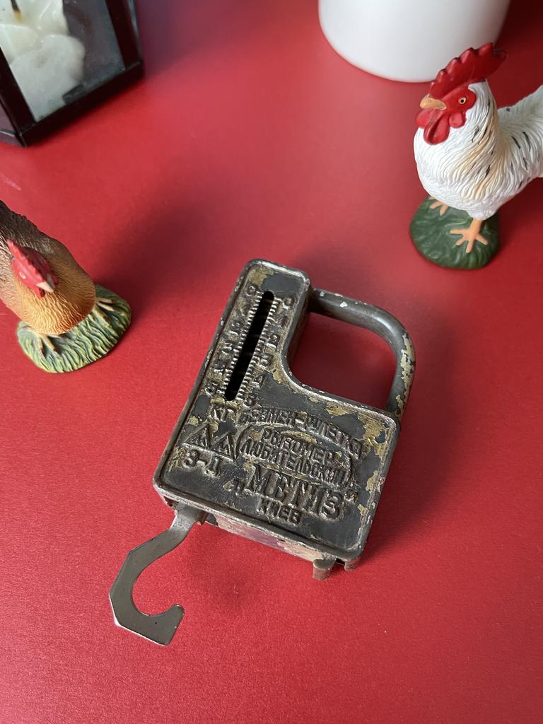 Весы-безмен, рыбомер