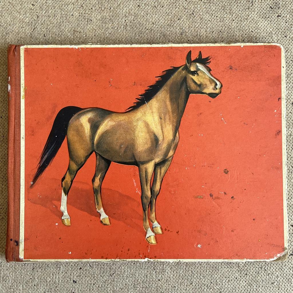 Детская книга о животных. СССР середина 1950-х г