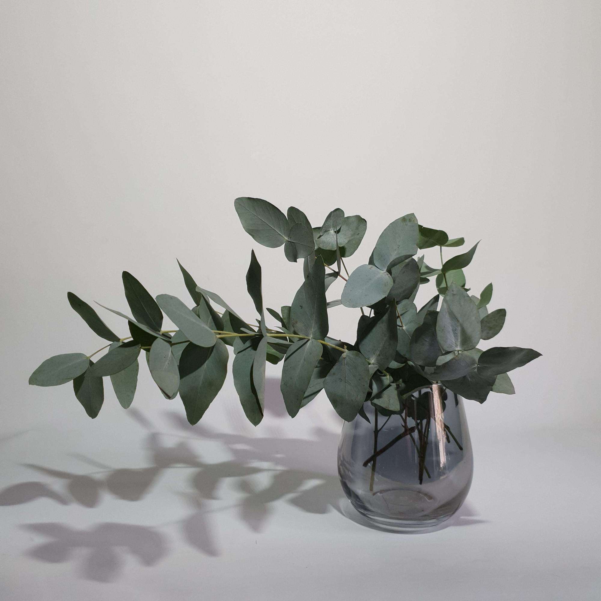 Vase №6