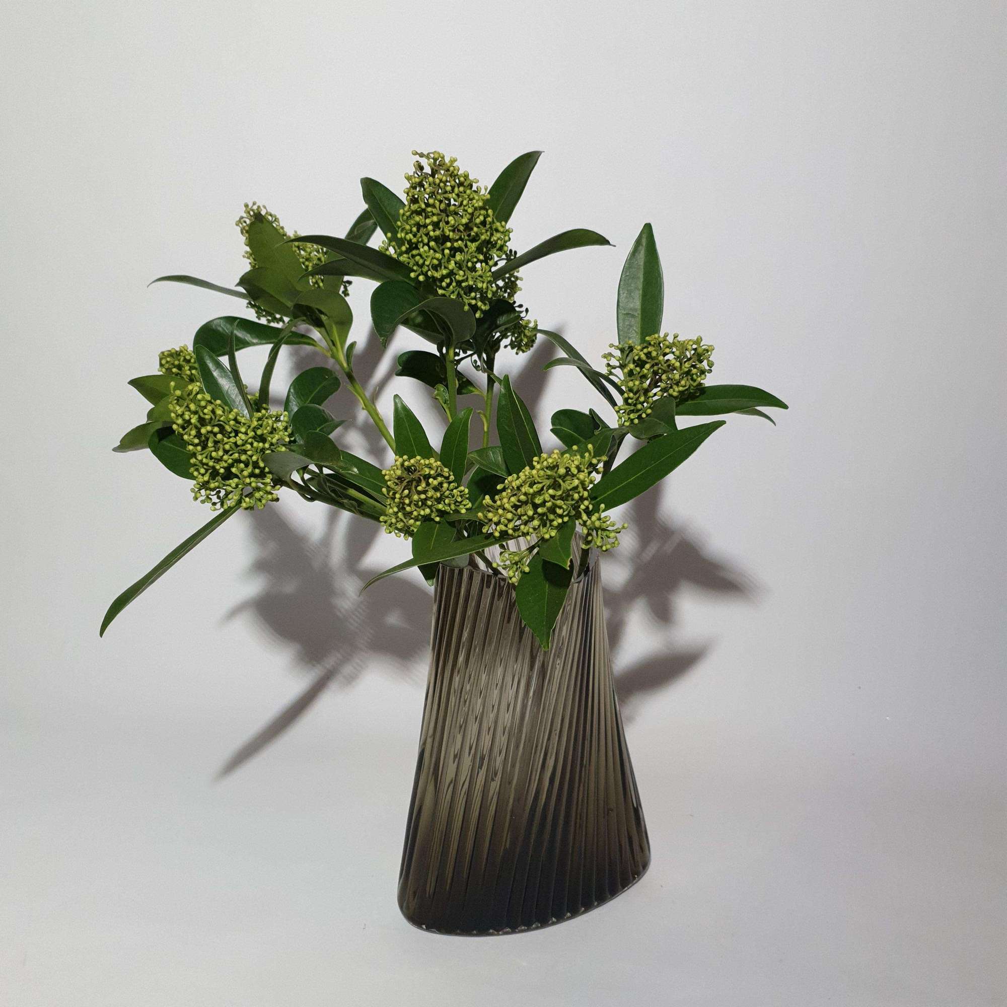 Vase №18