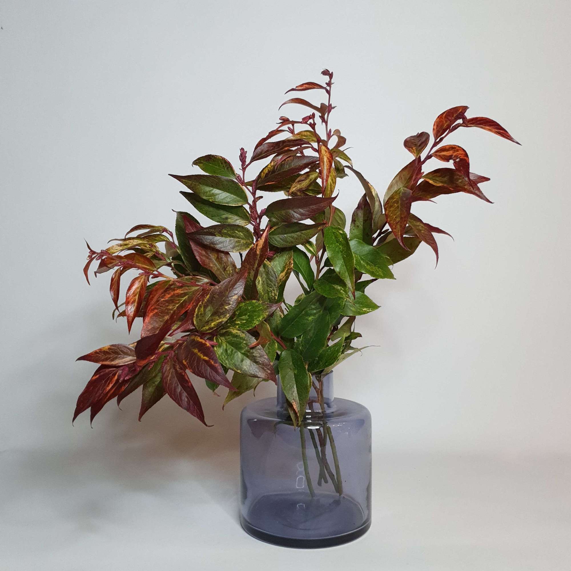 Vase №5