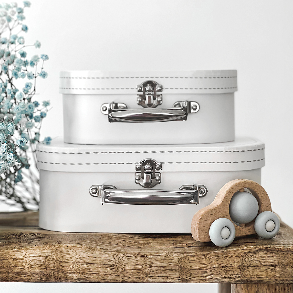 Набор из 2-х чемоданов для хранения