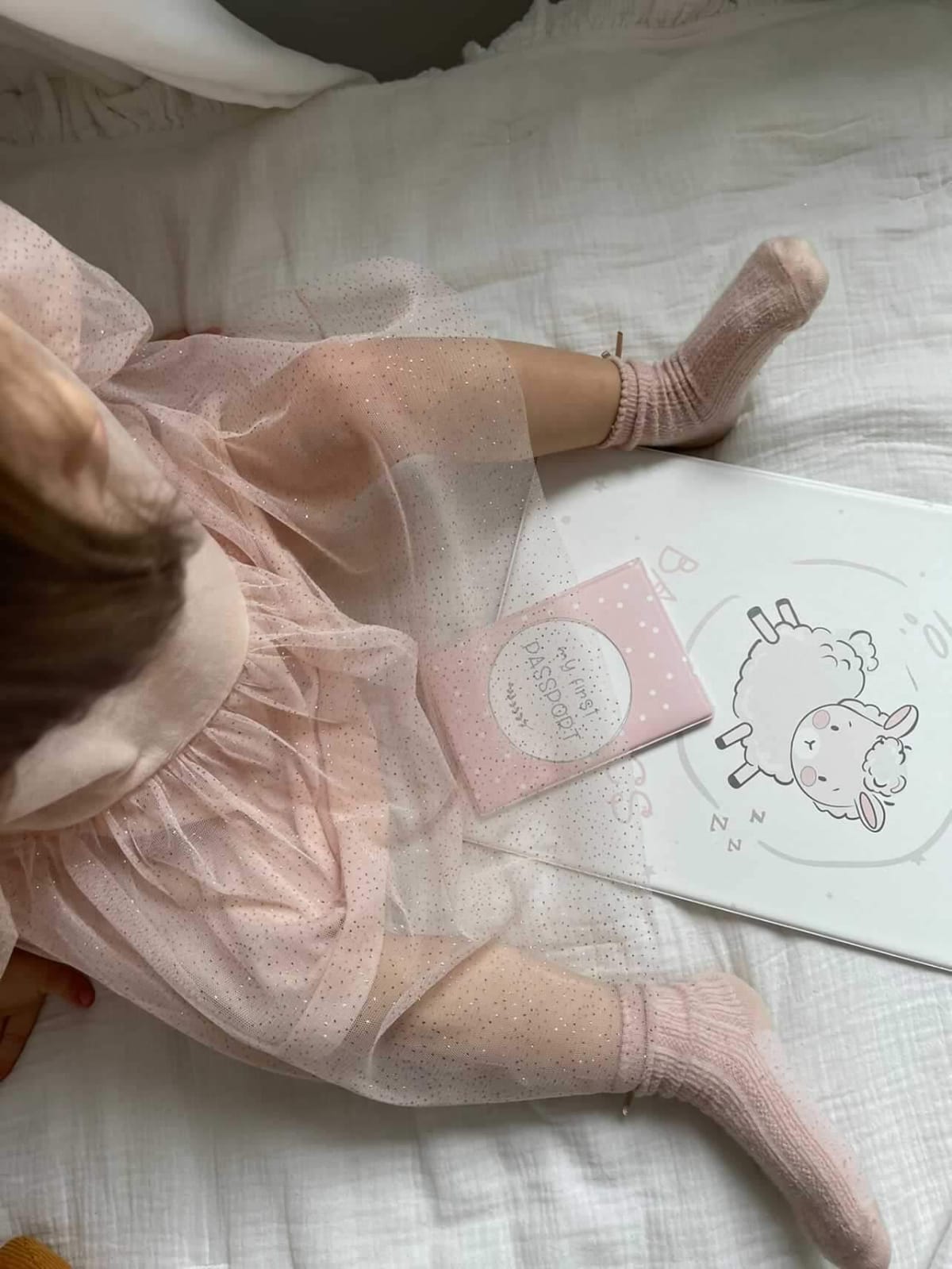 Органайзер для детских документов Lamb