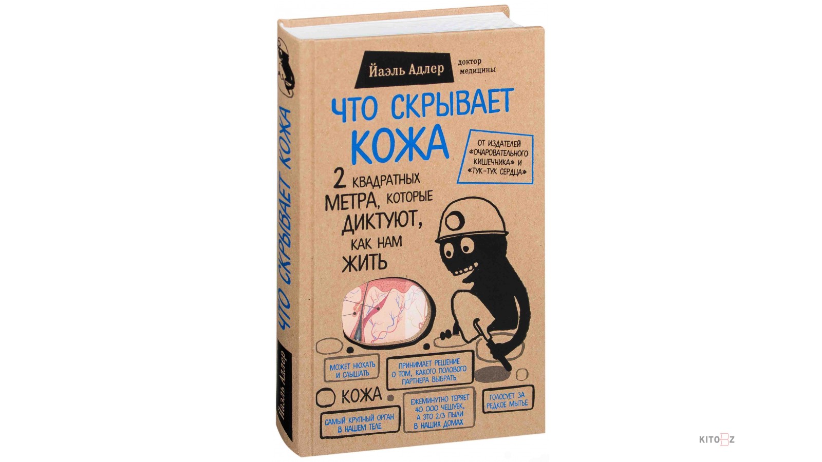 Что скрывает кожа. 2 квадратных метра, которые диктуют, как нам жить