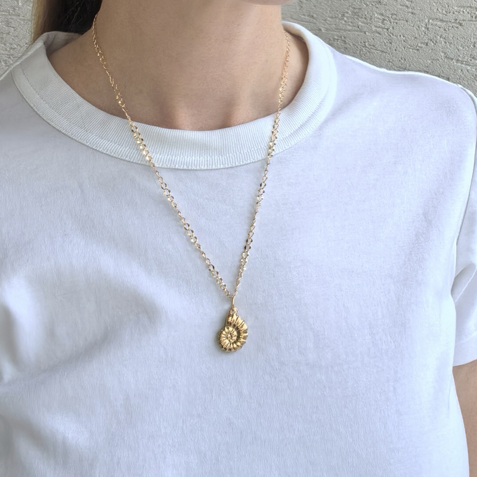 Цепочка Ракушка