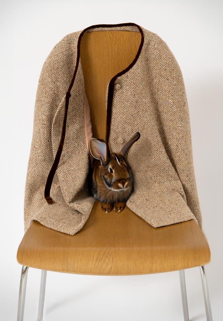 Пончо-пелерина