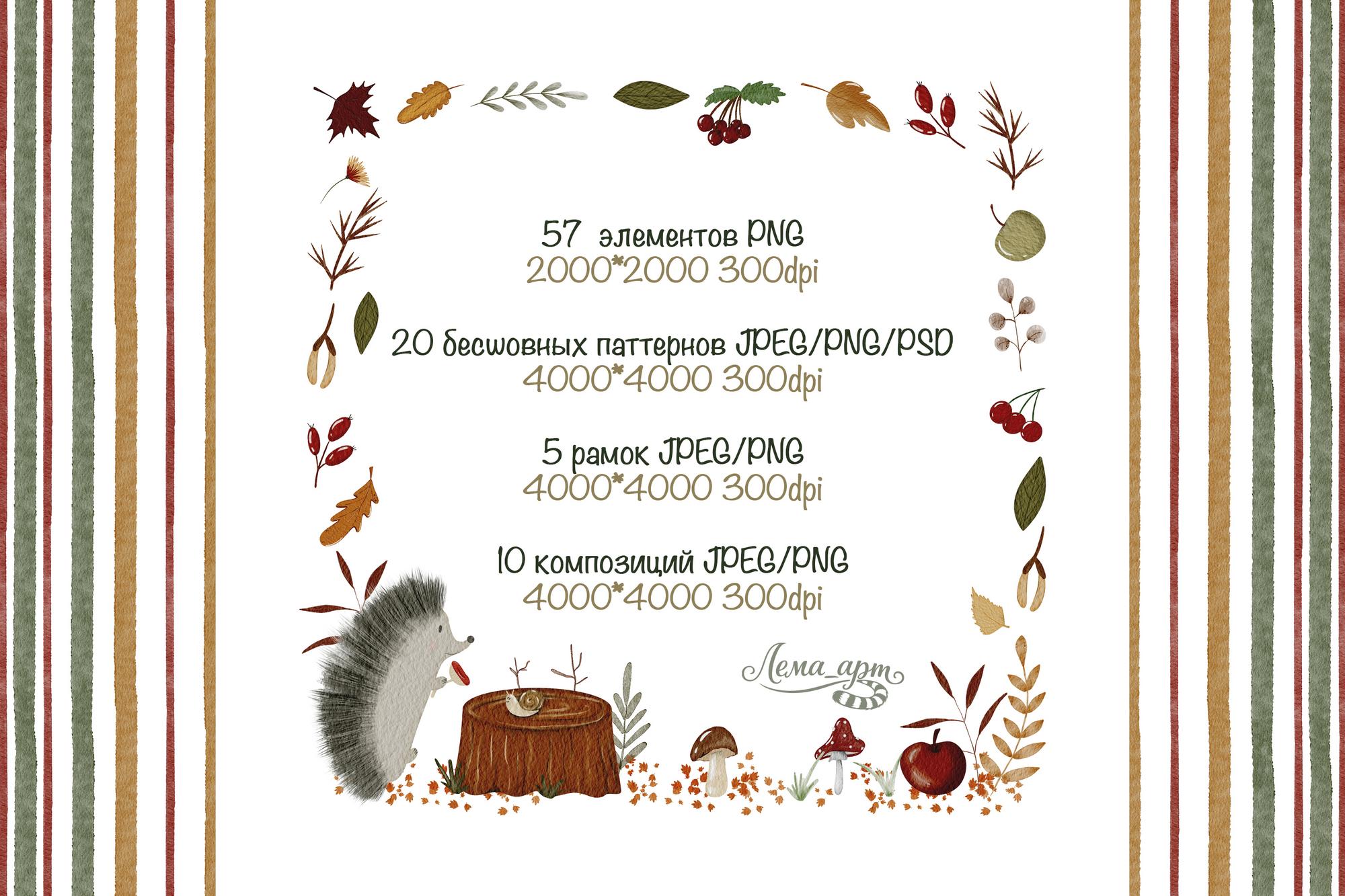 Осенние сокровища леса