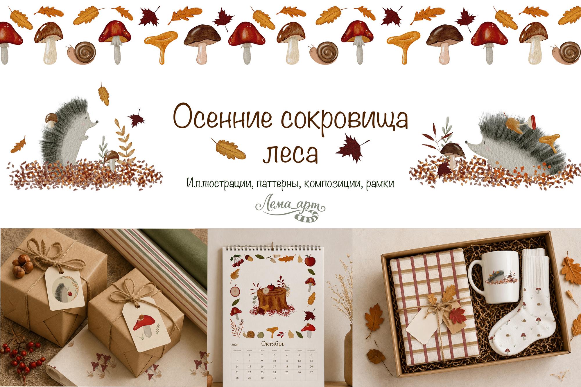 Осенние сокровища леса