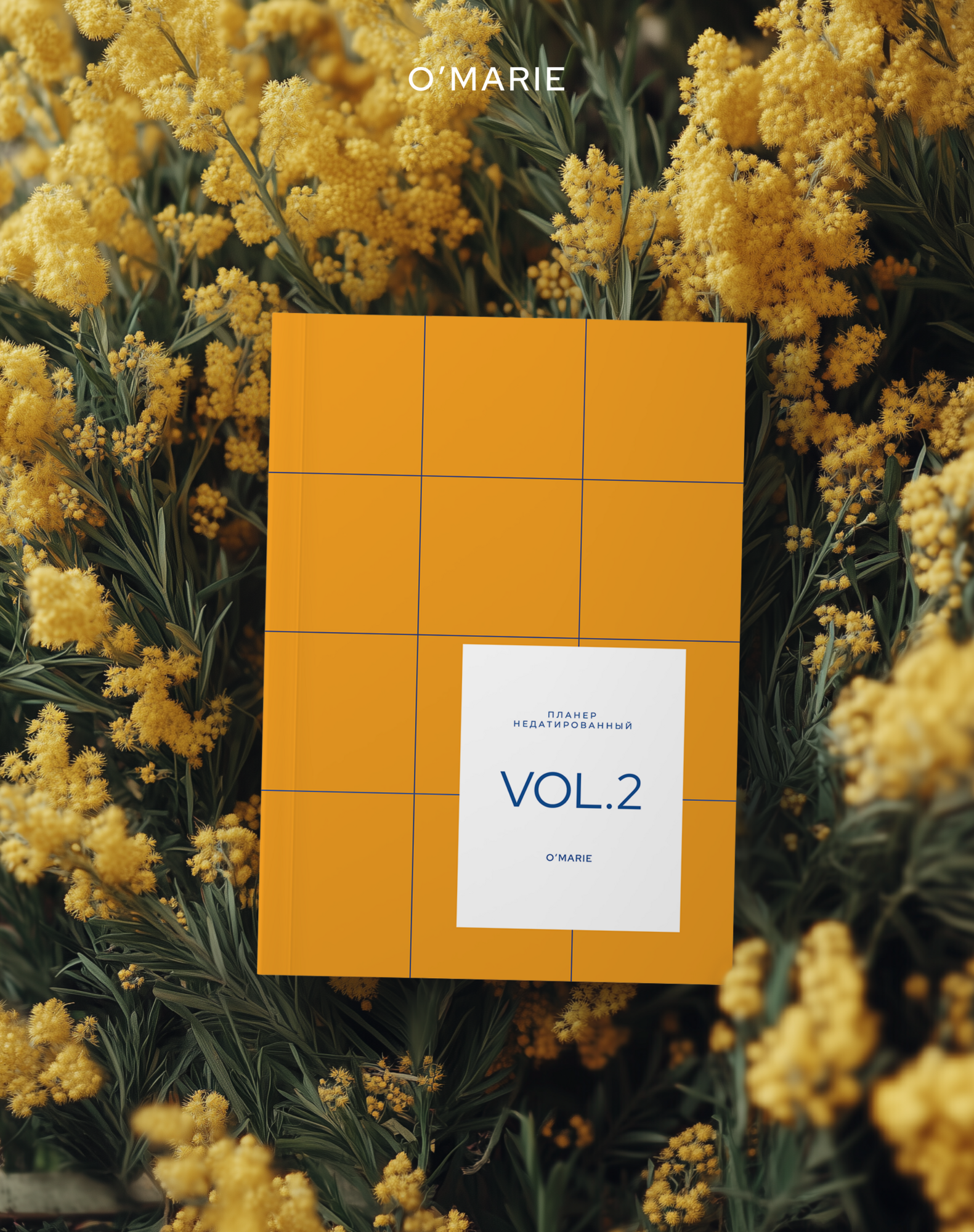 Набор из трех ежедневников на год А5