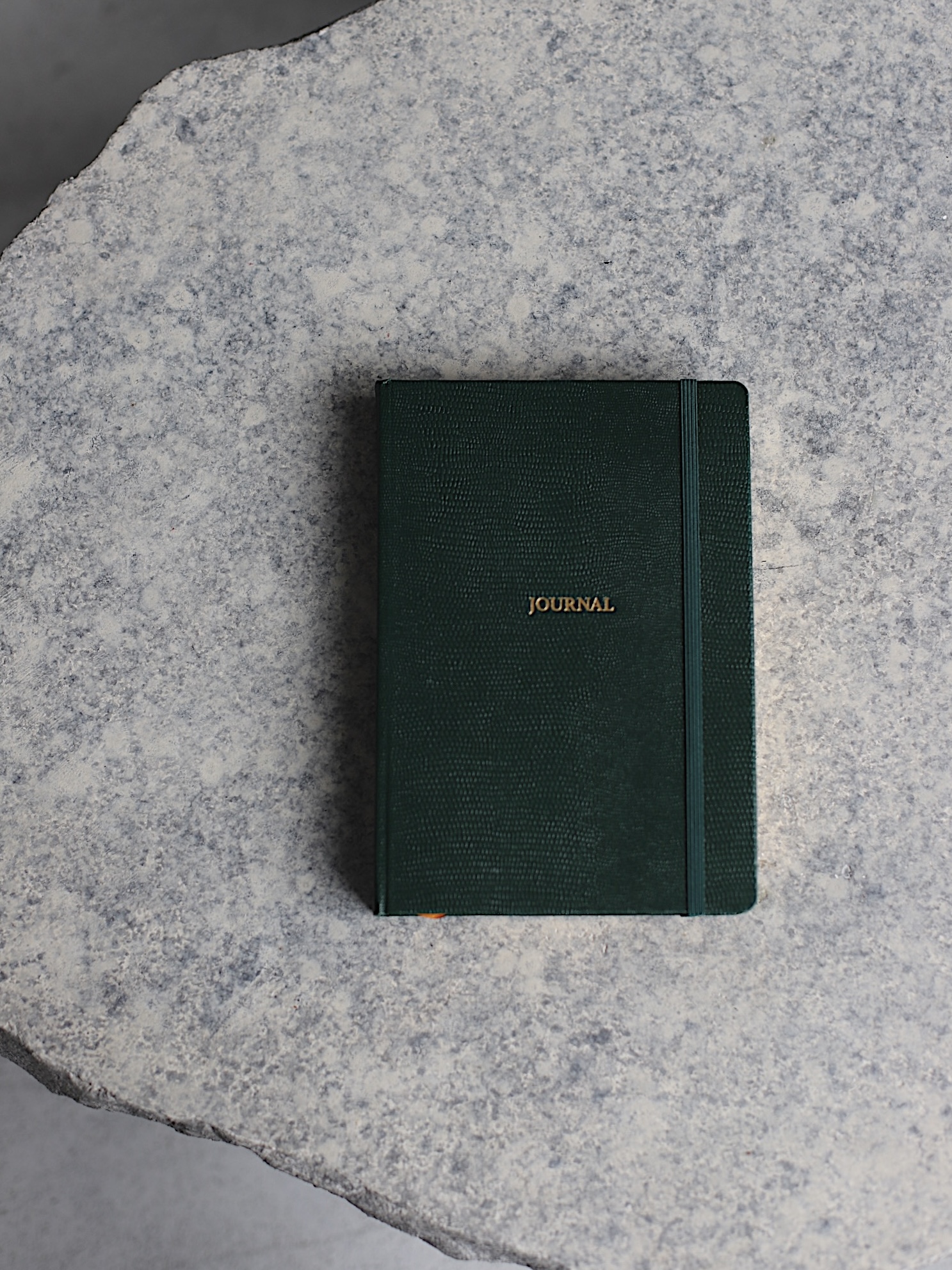 Ежедневник The Journal Lizard Green А5