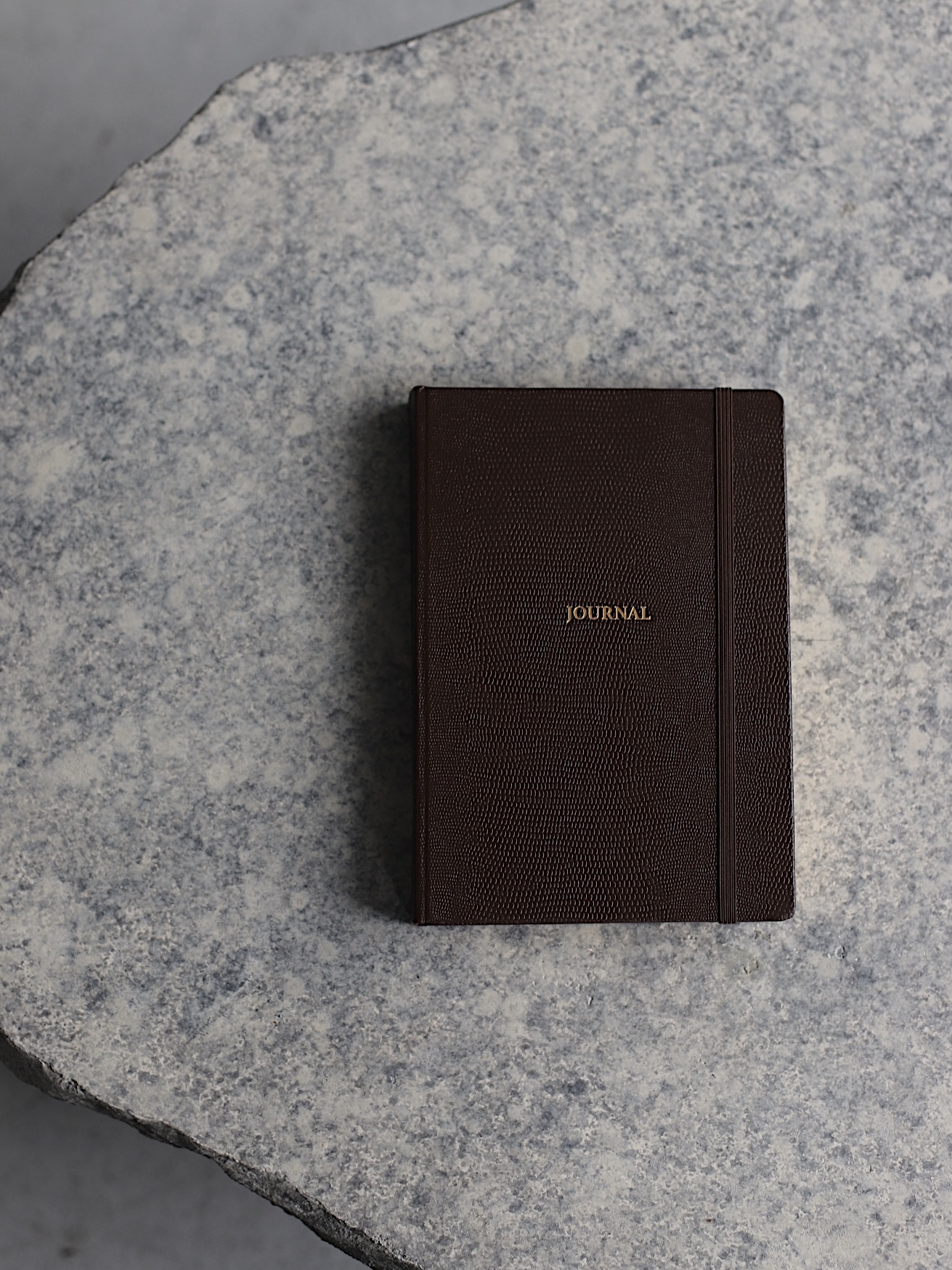 Ежедневник The Journal Lizard Brown А5