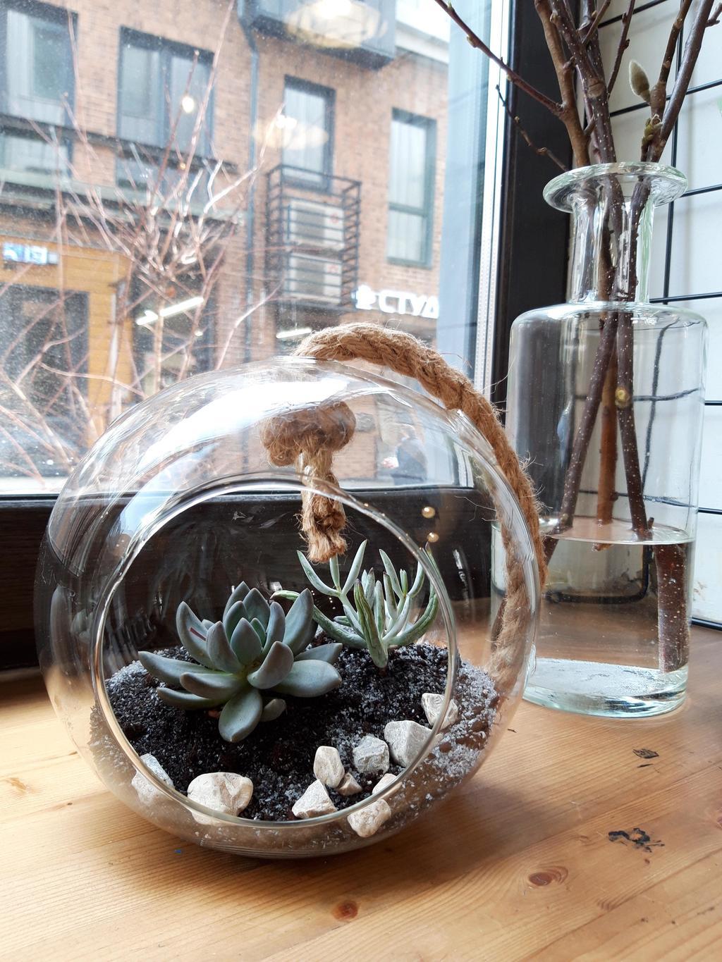 Композиция в стеклянном клоше