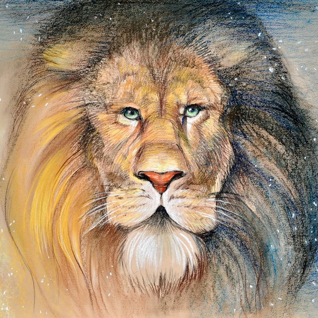 КУРС "РИСОВАНИЕ ЖИВОТНЫХ"