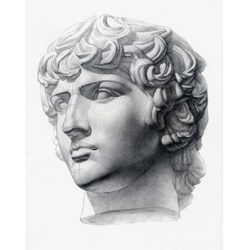 КУРС "ГИПСОВАЯ ГОЛОВА. РИСУНОК"