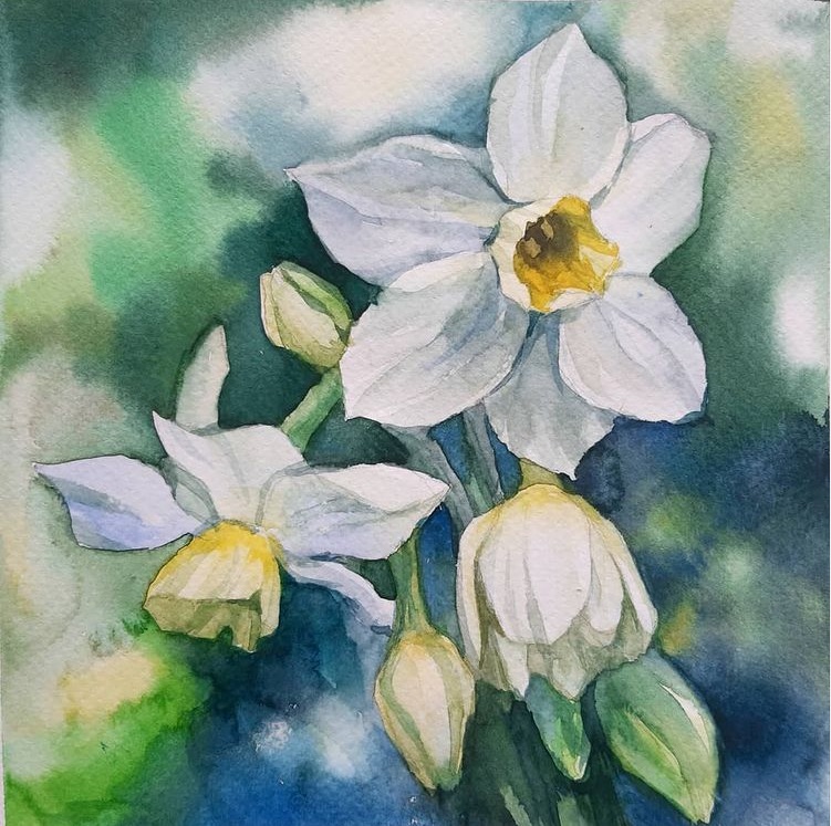 СЕРИЯ ИНДИВИДУАЛЬНЫХ ЗАНЯТИЙ