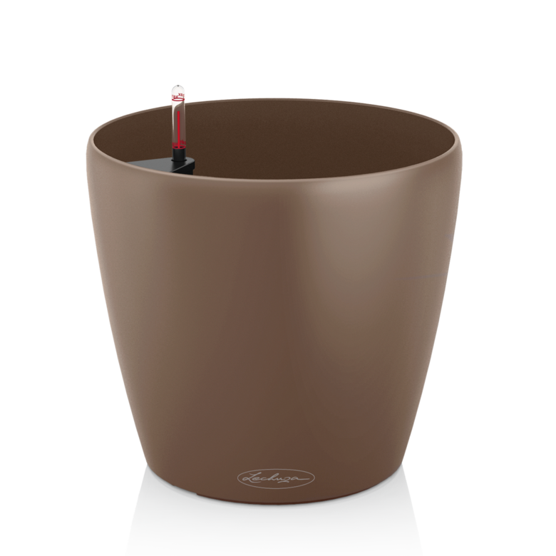 CLASSICO Color Muscat