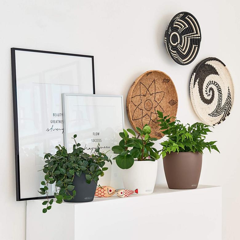 CLASSICO Color White