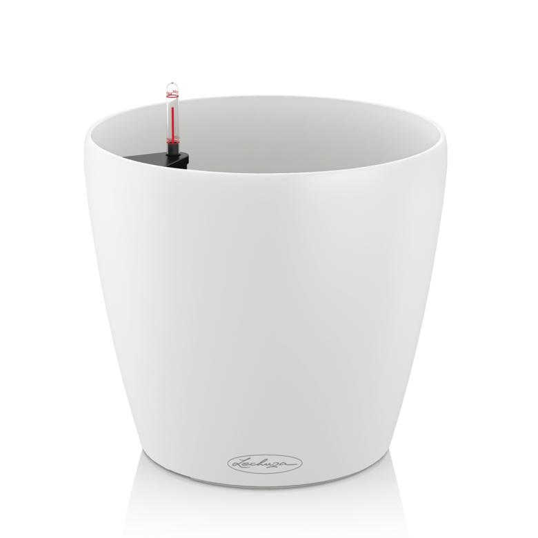 CLASSICO Color White