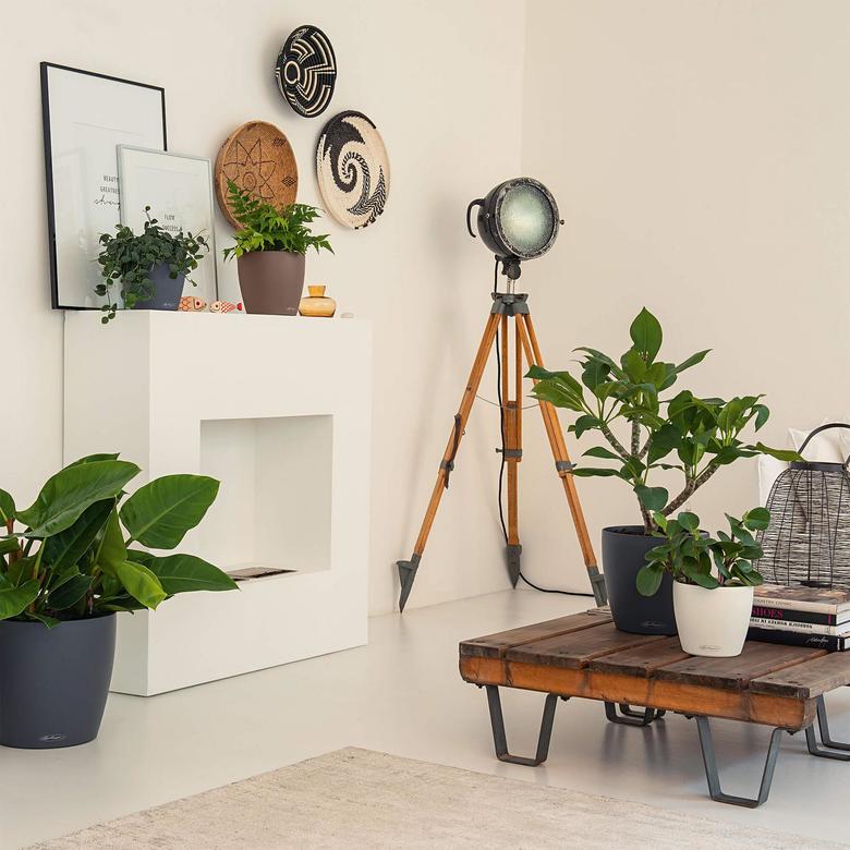 CLASSICO Color Dark Gray