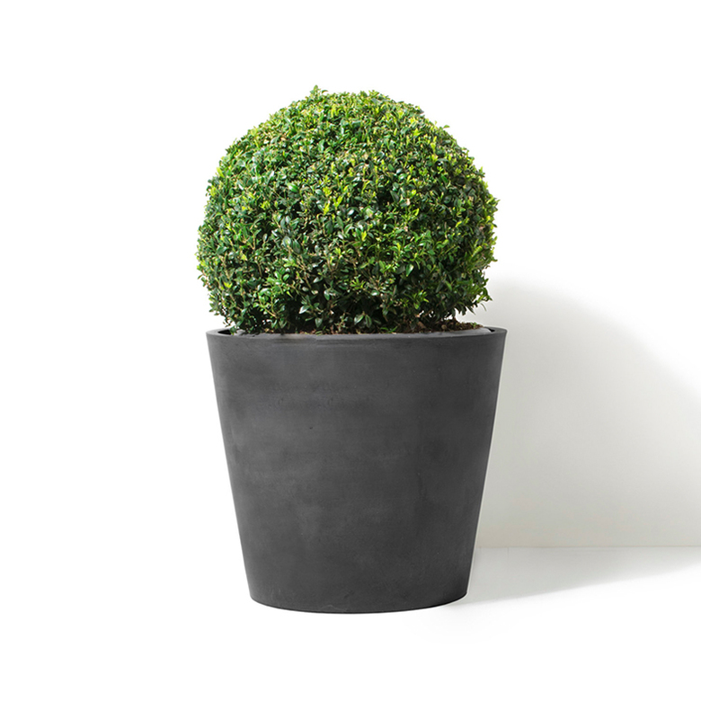 AMS Recycled Dark Gray