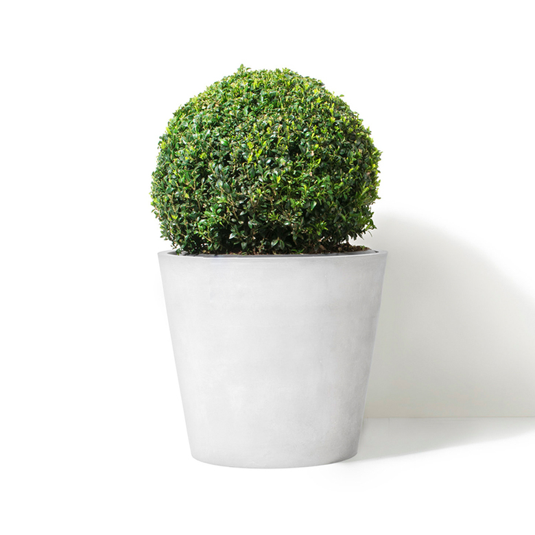 AMS Recycled Whitestone