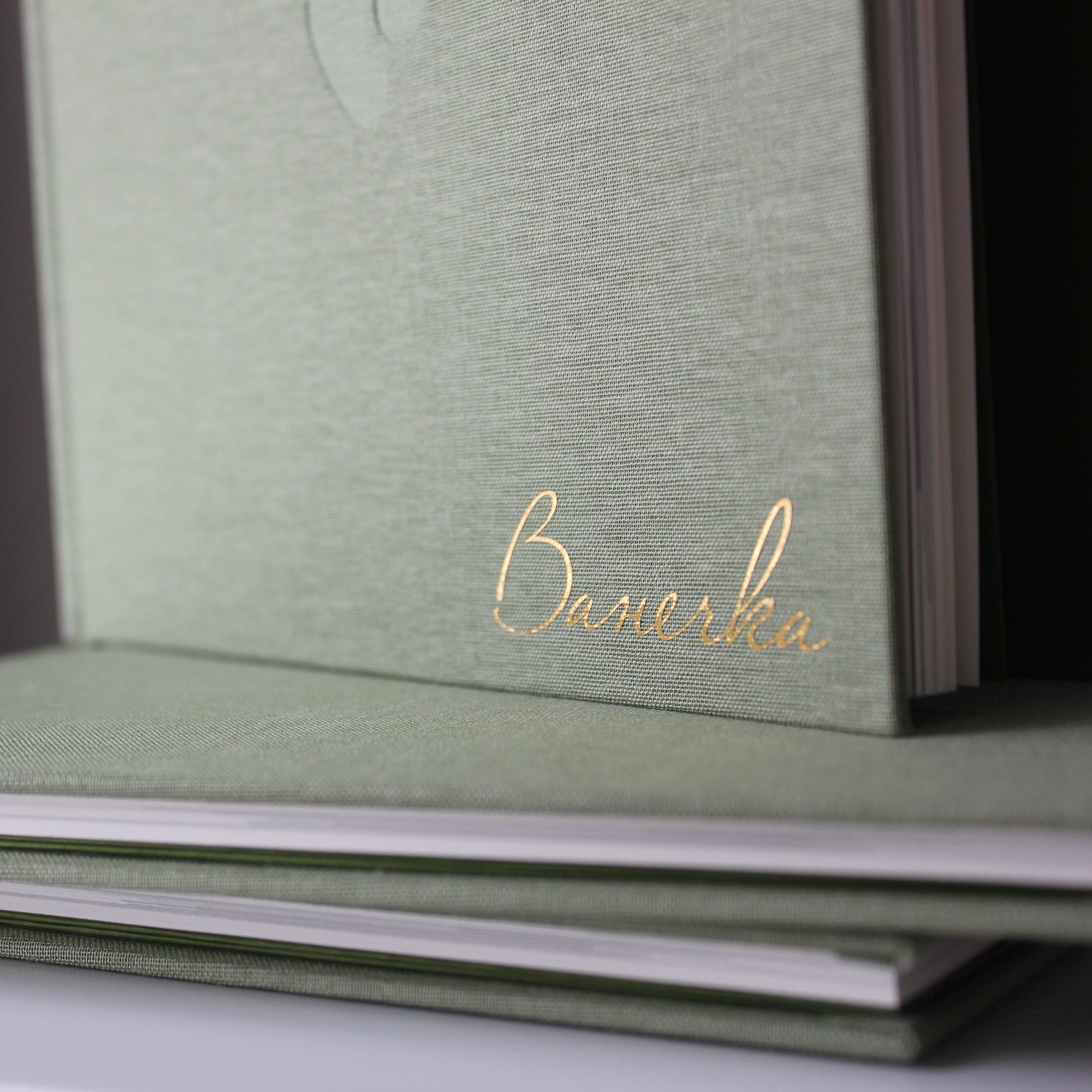 Первый Альбом Малыша (оливка)