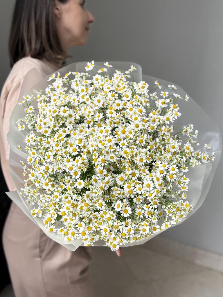МОНОБУКЕТ ИЗ РОМАШЕК 05