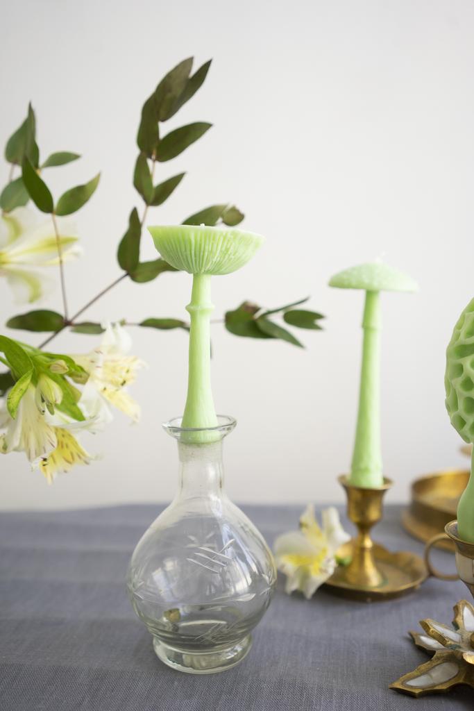 Гриб Мухомор перезрелый салатового цвета Unification Love