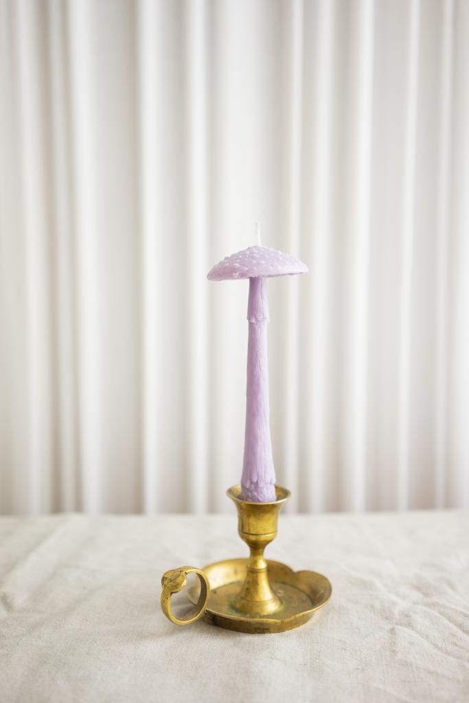 Гриб Мухомор лилового цвета Unification Love