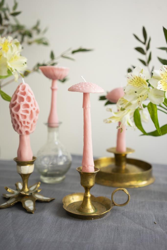 Гриб Мухомор розового цвета Unification Love