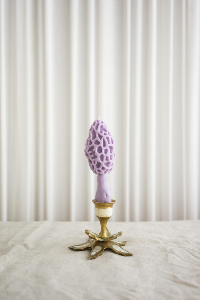 Гриб Сморчок лилового цвета Unification Love