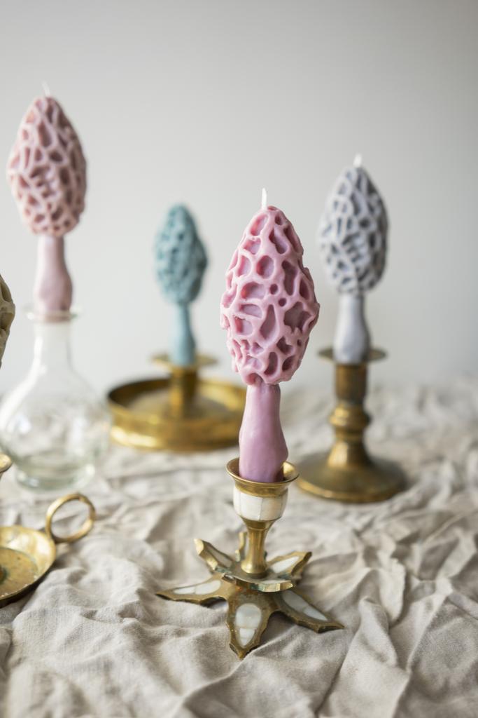 Гриб Сморчок розового цвета Unification Love