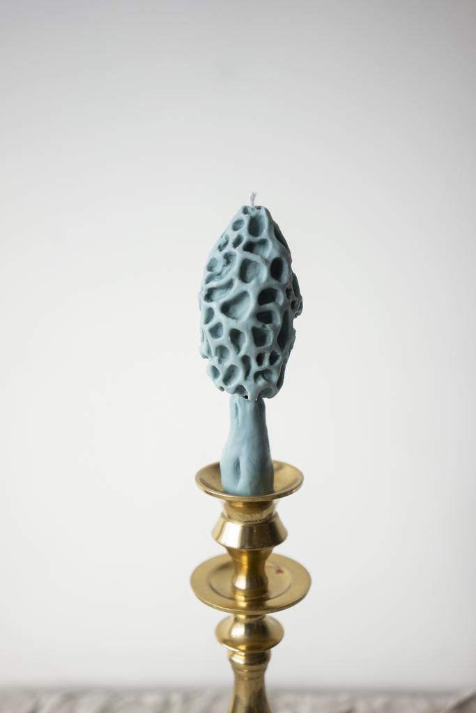 Гриб Сморчок сизого цвета Unification Love